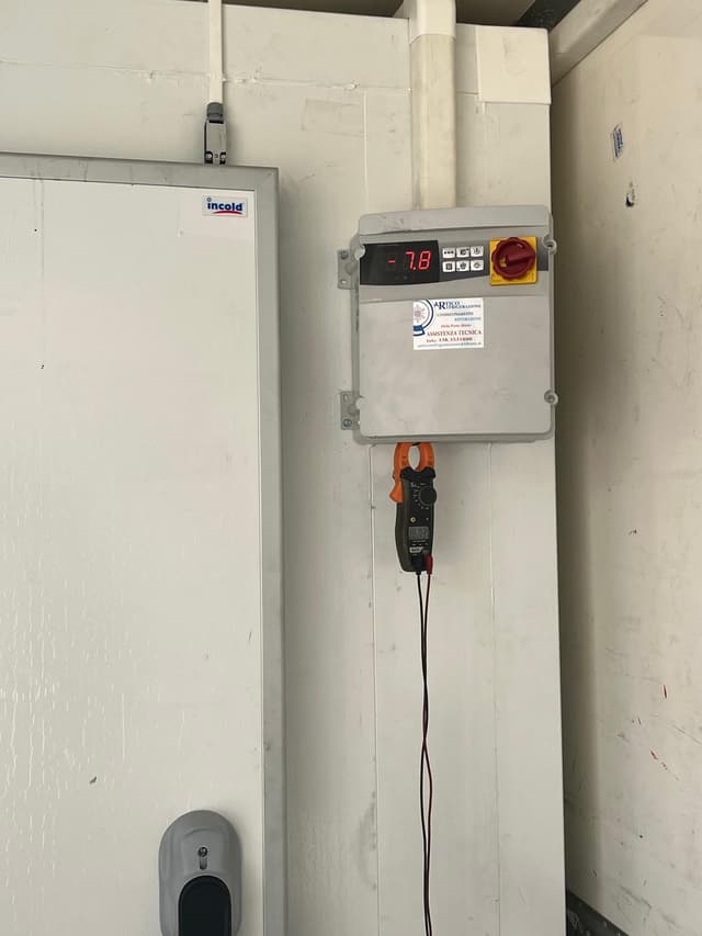Printed photo of bag being tossed into the sky on top of grass.